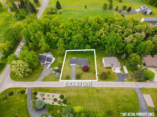 2041 Blackmer Dr, Jonesville, MI 49250 - view of property location featuring property boundaries highlighted