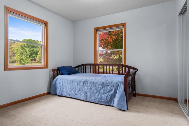 2041 Blackmer Dr, Jonesville, MI 49250 - bedroom featuring light colored carpet and baseboards