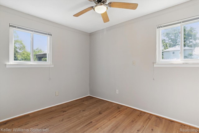 1623 Ethel Ave, Lincoln Park, MI 48146 - empty room with light wood-style flooring and a ceiling fan
