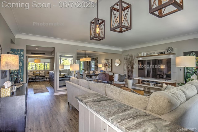 11555 Colpaert Dr, Warren, MI 48093 - living room featuring dark wood-style flooring