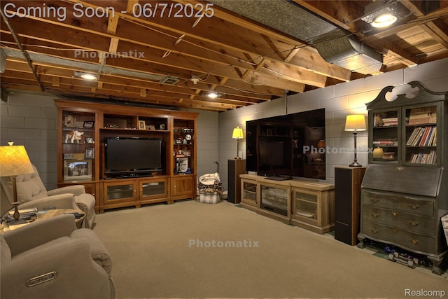 11555 Colpaert Dr, Warren, MI 48093 - carpeted living room with concrete block wall