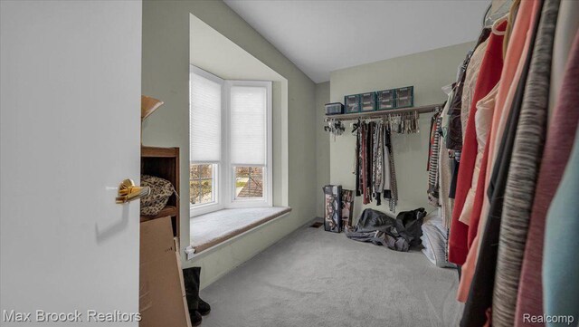 404 Shellbourne Dr, Rochester Hills, MI 48309 - spacious closet featuring carpet flooring and vaulted ceiling