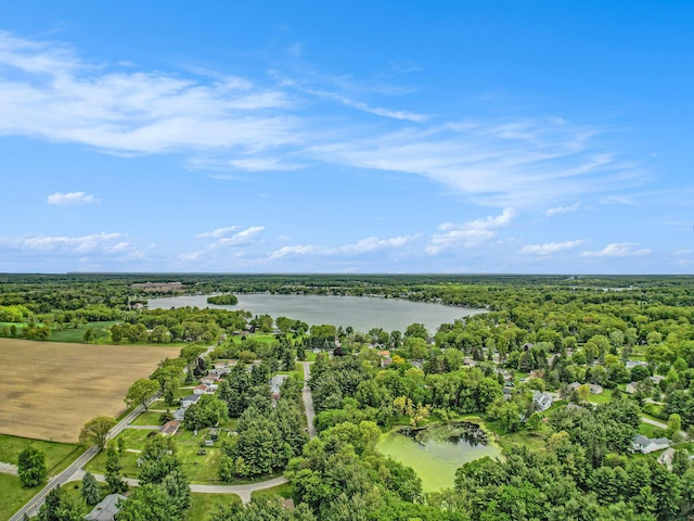 10210 Mizzen Ln, Pleasant Lake, MI 49272 - aerial view of property and surrounding area with a large body of water and a forest
