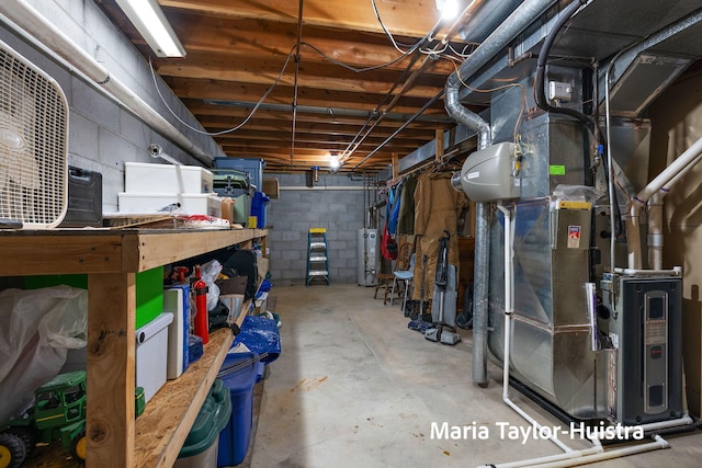 10130 64th Ave, Allendale, MI 49401 - unfinished basement with water heater and heating unit