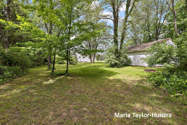 10130 64th Ave, Allendale, MI 49401 - view of grassy yard