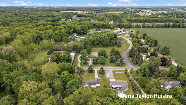 10130 64th Ave, Allendale, MI 49401 - bird's eye view