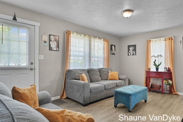 88 Violet St SW, Grand Rapids, MI 49548 - living room featuring wood finished floors, baseboards, and a textured ceiling