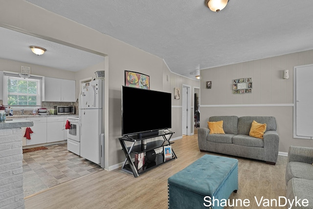 88 Violet St SW, Grand Rapids, MI 49548 - living area featuring light wood-style flooring, a textured ceiling, and baseboards