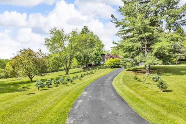 9275 M-50, Onsted, MI 49265 - view of asphalt driveway featuring view of scattered trees