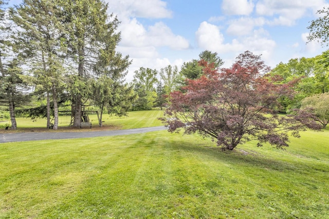 9275 M-50, Onsted, MI 49265 - view of green lawn