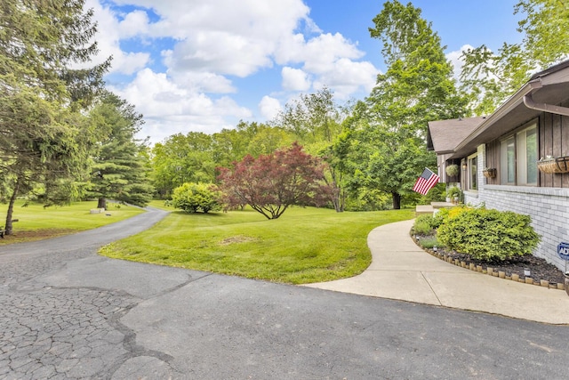9275 M-50, Onsted, MI 49265 - view of grassy yard with view of wooded area