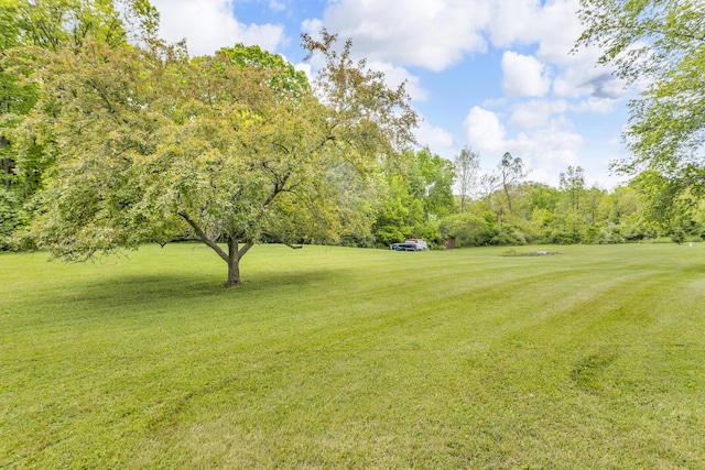 9275 M-50, Onsted, MI 49265 - view of grassy yard with golf course view