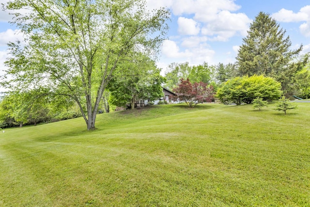 9275 M-50, Onsted, MI 49265 - view of grassy yard featuring view of scattered trees