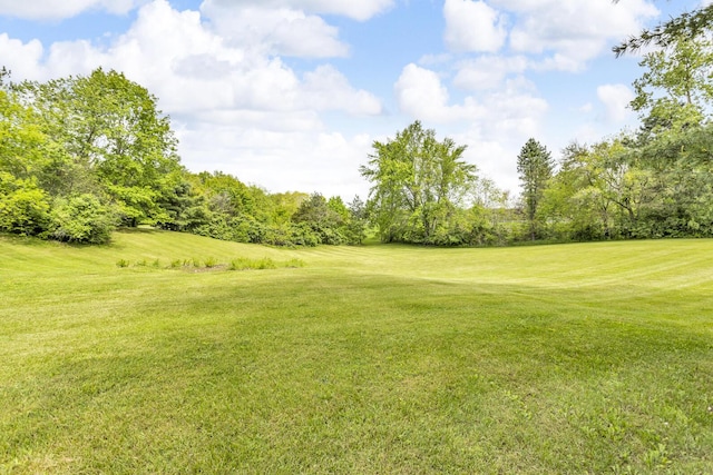 9275 M-50, Onsted, MI 49265 - view of grassy yard with golf course view and view of scattered trees