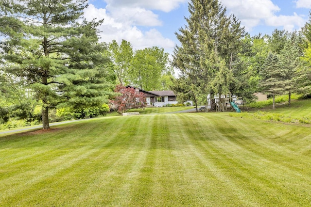 9275 M-50, Onsted, MI 49265 - view of grassy yard