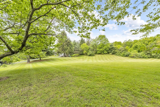 9275 M-50, Onsted, MI 49265 - view of green lawn featuring view of golf course and view of scattered trees