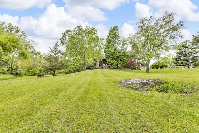 9275 M-50, Onsted, MI 49265 - view of grassy yard