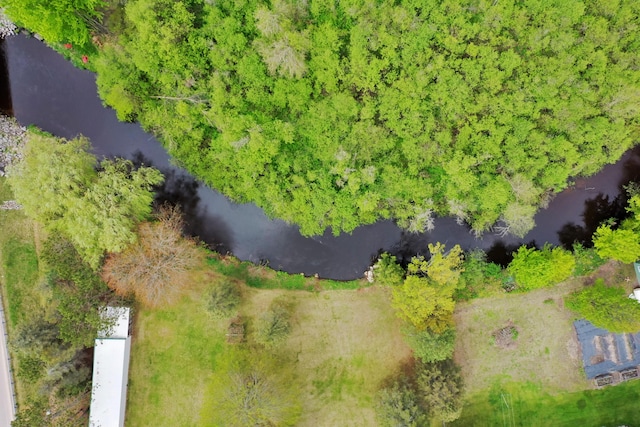 1972 W Cedar Dr, Mcbain, MI 49657 - aerial view of a large body of water