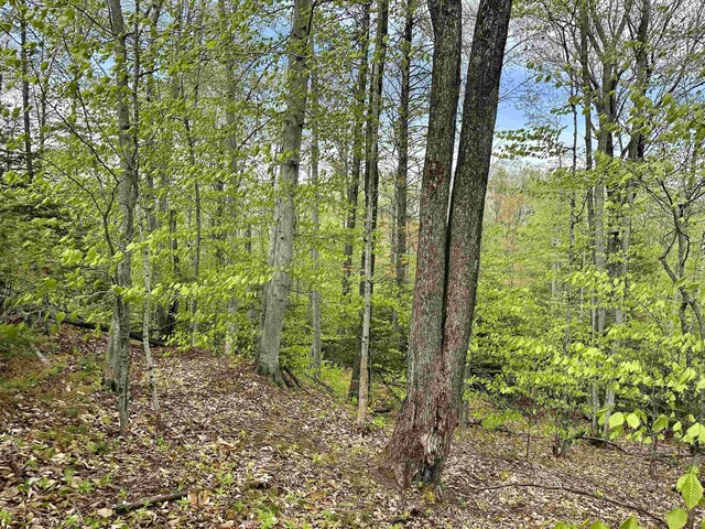 TBD Allens Lakeview, Beaver Island, MI 49782