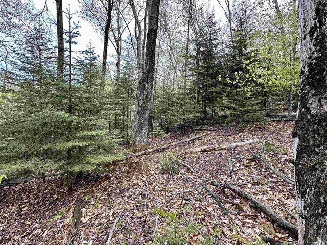 TBD Allens Lakeview, Beaver Island, MI 49782