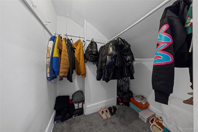 4627 Berkshire St, Detroit, MI 48224 - spacious closet with vaulted ceiling and carpet floors