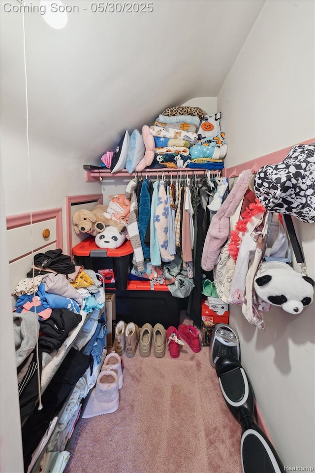 15645 Warwick Ave, Allen Park, MI 48101 - spacious closet featuring vaulted ceiling and carpet flooring