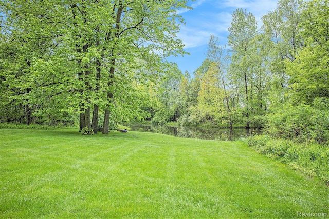6140 Seymour Rd, Swartz Creek, MI 48473 - view of green lawn