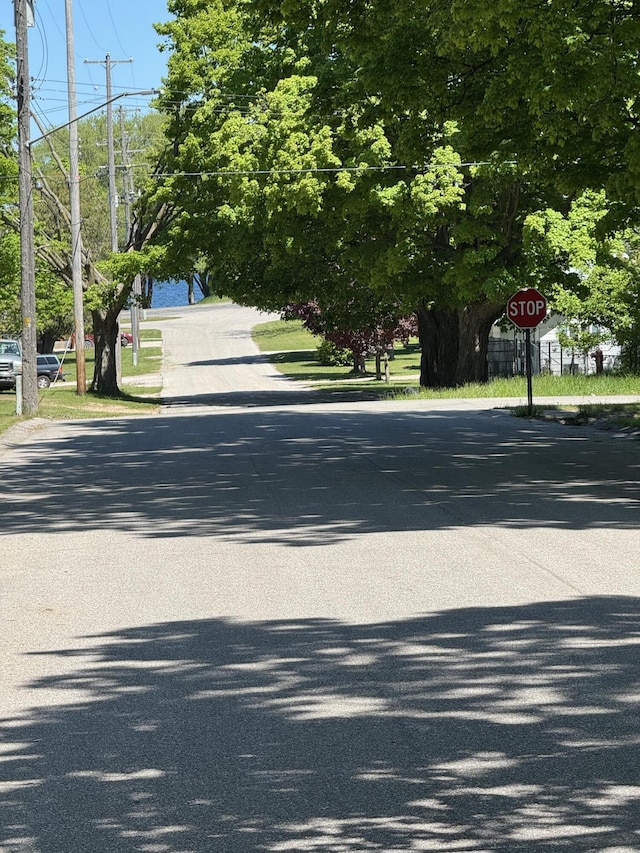 12227 Wise St, Bear Lake, MI 49614 - view of asphalt road with traffic signs
