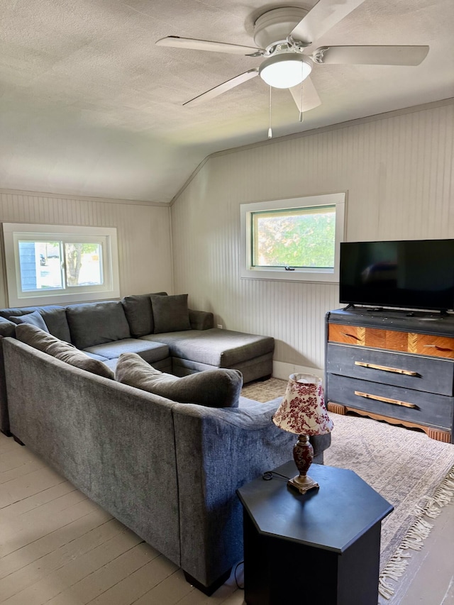 12227 Wise St, Bear Lake, MI 49614 - living room with plenty of natural light, vaulted ceiling, light wood-style flooring, a ceiling fan, and a textured ceiling