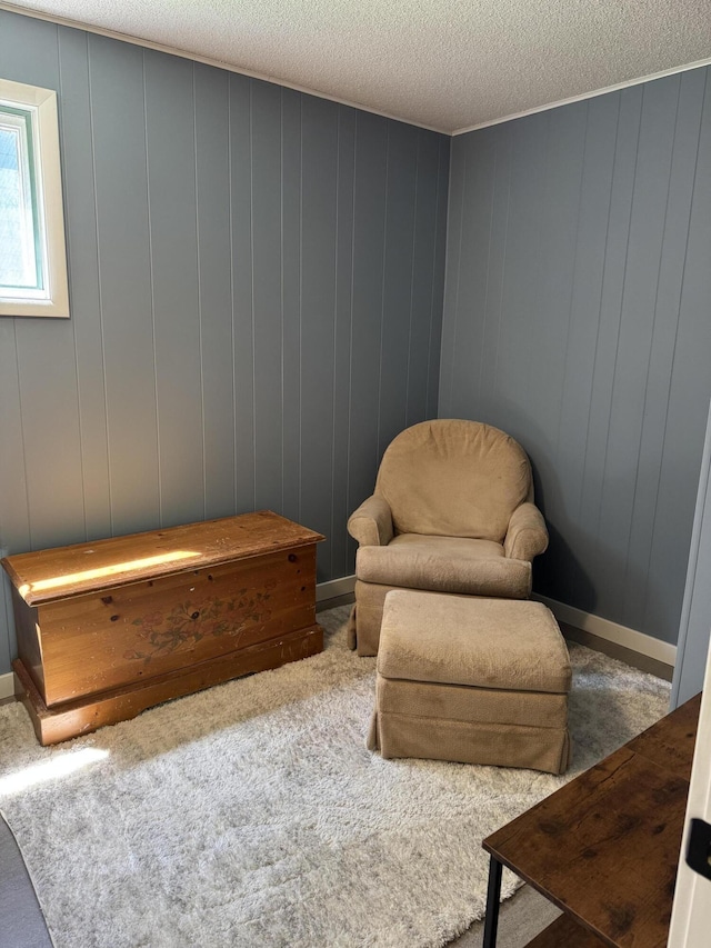 12227 Wise St, Bear Lake, MI 49614 - sitting room featuring carpet floors, a textured ceiling, and baseboards