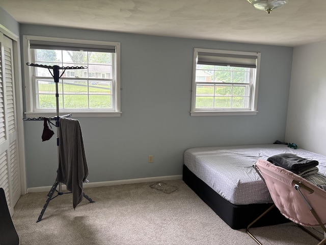 814 N Lakeview Ave, Sturgis, MI 49091 - bedroom with multiple windows, carpet, and baseboards