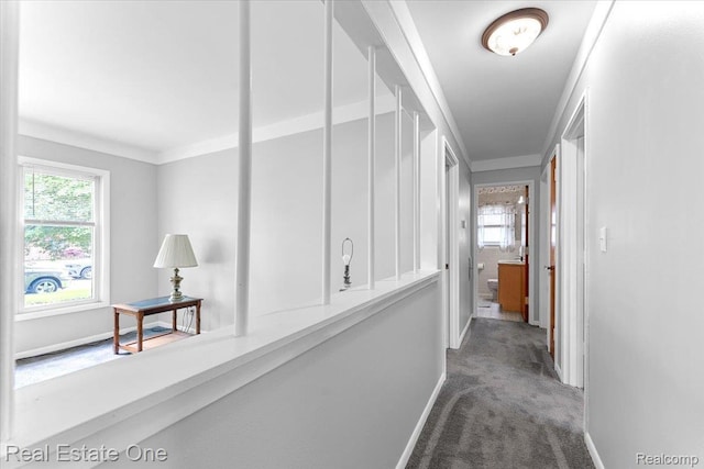 8424 Roosevelt St, Taylor, MI 48180 - corridor featuring carpet, baseboards, and ornamental molding