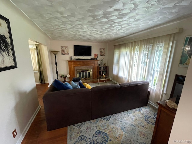 13960 Mettetal St, Detroit, MI 48227 - living area featuring a glass covered fireplace, wood finished floors, and baseboards