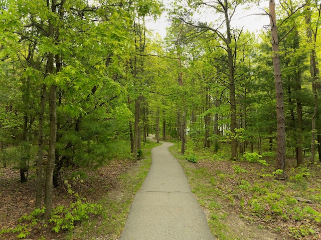 5610 Copper Sands Run, Fruitport, MI 49415 - view of home's community with a forest view
