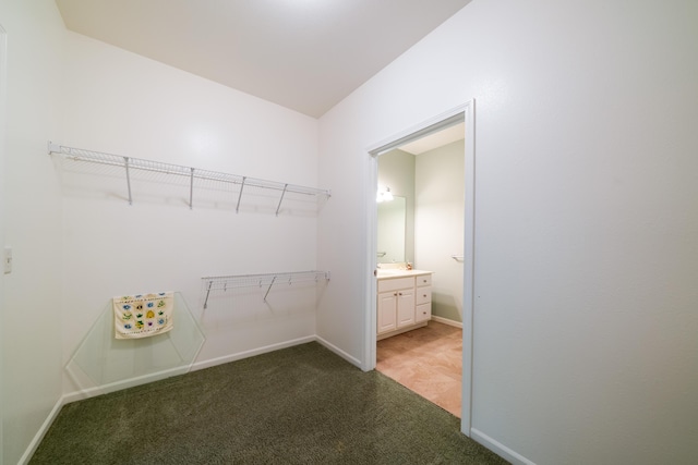 5610 Copper Sands Run, Fruitport, MI 49415 - spacious closet featuring carpet flooring