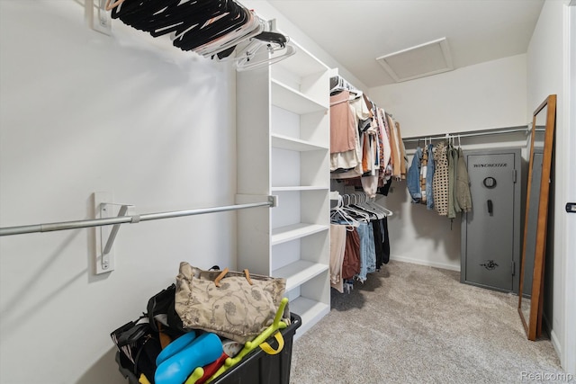 177 Summer Shade Dr, Howell, MI 48843 - walk in closet with attic access and carpet floors