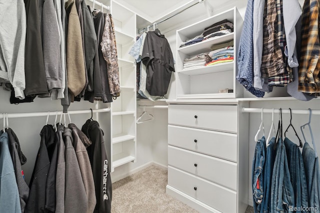 177 Summer Shade Dr, Howell, MI 48843 - walk in closet with light colored carpet