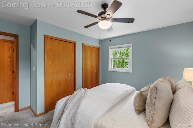 569 Lyon Blvd, South Lyon, MI 48178 - carpeted bedroom featuring multiple closets, baseboards, and a ceiling fan