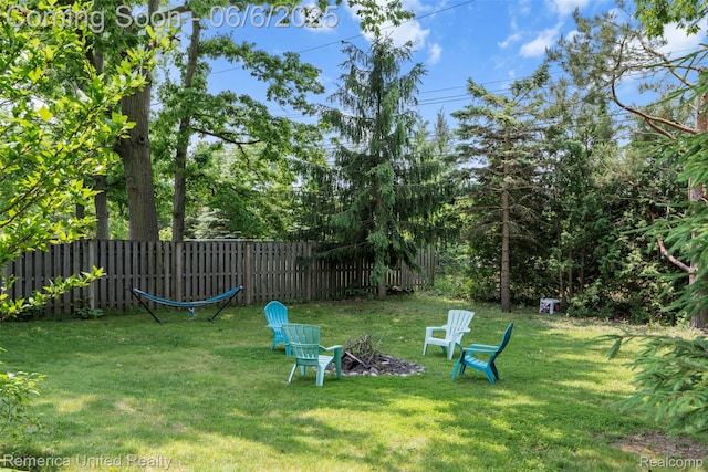 569 Lyon Blvd, South Lyon, MI 48178 - view of yard