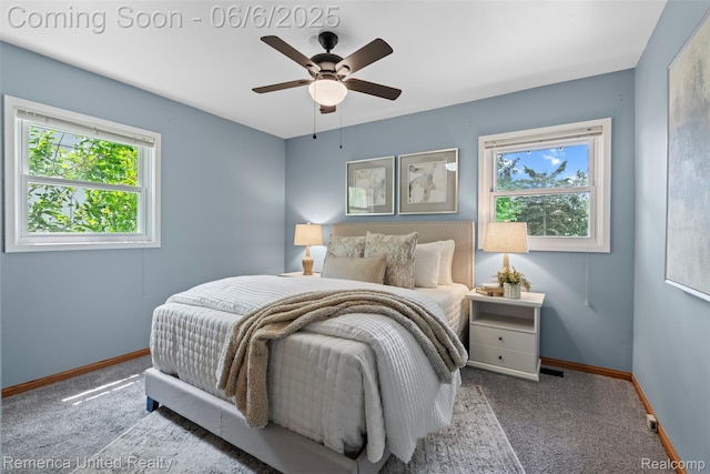 569 Lyon Blvd, South Lyon, MI 48178 - carpeted bedroom with multiple windows, baseboards, and ceiling fan