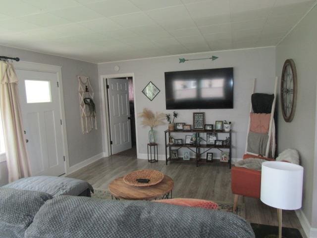 429 N Chipman St, Owosso, MI 48867 - living area with wood finished floors and baseboards