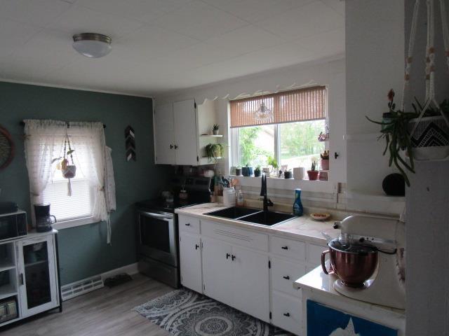 429 N Chipman St, Owosso, MI 48867 - kitchen featuring electric range, a sink, plenty of natural light, and open shelves