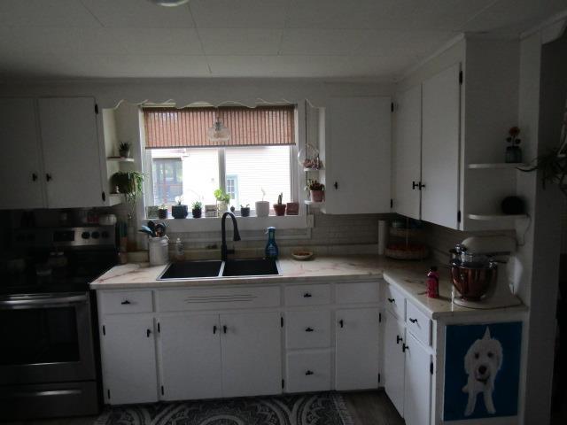 429 N Chipman St, Owosso, MI 48867 - kitchen with stainless steel range with electric stovetop, a sink, white cabinets, and light countertops