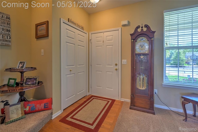 28329 Cottage Ln, New Hudson, MI 48165 - entrance foyer with baseboards