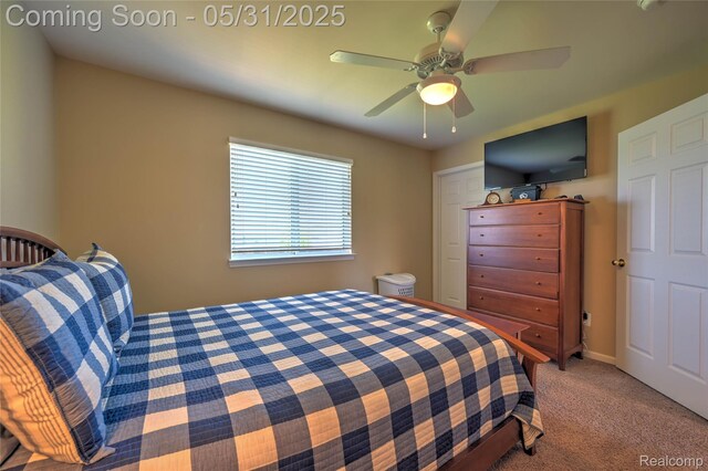 28329 Cottage Ln, New Hudson, MI 48165 - bedroom with carpet floors and ceiling fan