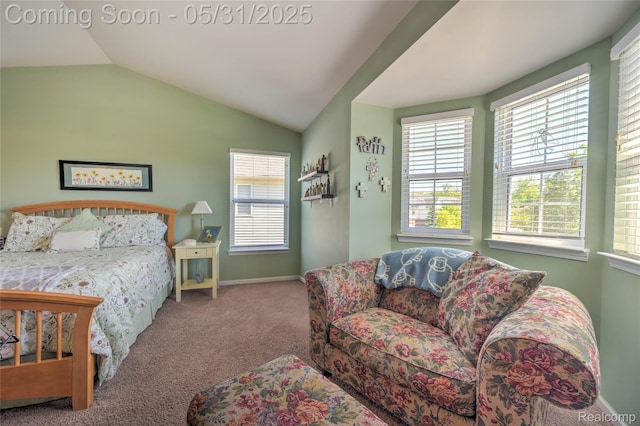 28329 Cottage Ln, New Hudson, MI 48165 - carpeted bedroom featuring lofted ceiling and baseboards