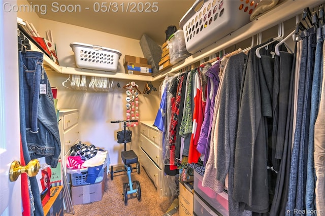 28329 Cottage Ln, New Hudson, MI 48165 - walk in closet with carpet floors