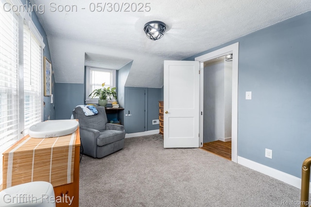 117 W Northrup St, Lansing, MI 48911 - sitting room with carpet floors, baseboards, and a textured ceiling