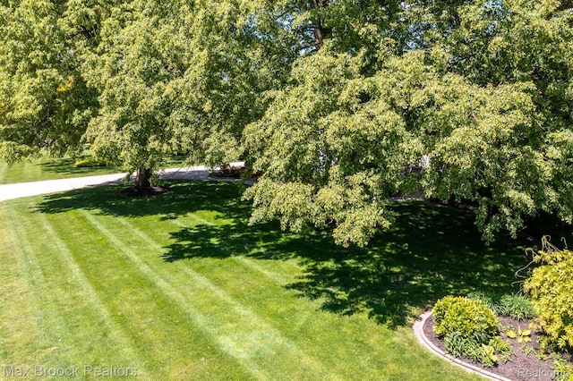 1816 Ledbury Dr, Bloomfield Hills, MI 48304 - view of green lawn
