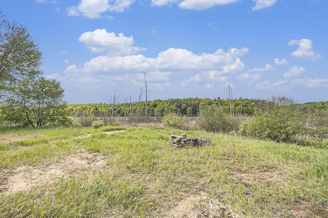 5901 Sweeter Rd, Twin Lake, MI 49457 - view of wooded area with a view of rural / pastoral area